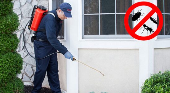 Yakakent Bit İlaçlama böcek ilaçlama ve haşere kontrolü — ilaclama-tr.com